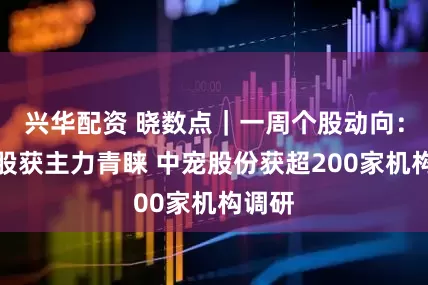 兴华配资 晓数点｜一周个股动向：汽车股获主力青睐 中宠股份获超200家机构调研