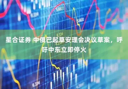 星合证券 中俄巴起草安理会决议草案，呼吁中东立即停火