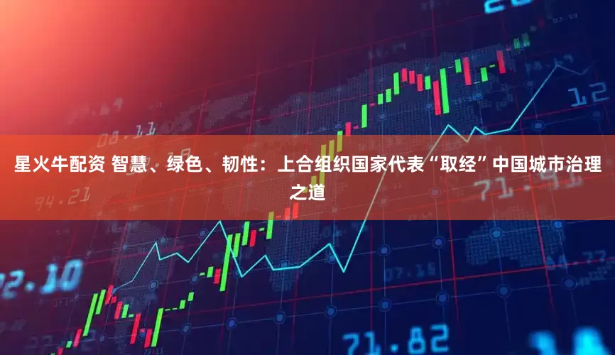 星火牛配资 智慧、绿色、韧性：上合组织国家代表“取经”中国城市治理之道