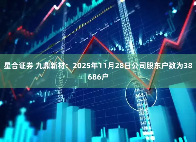 星合证券 九鼎新材：2025年11月28日公司股东户数为38686户